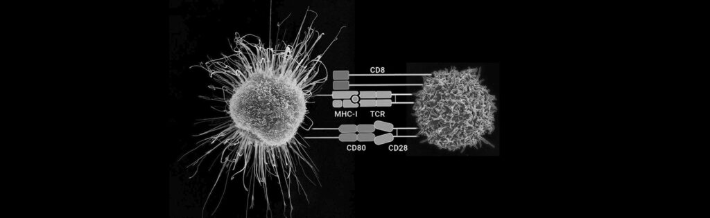 
As The Substance continues to unfold, it sets the stage for an entirely new era in both medicine and human biology. By harnessing the power of artificial intelligence, the platform enables a deeper understanding of the intricate mechanisms behind the body’s natural regenerative processes, and takes them to a level where healing is no longer limited by time, damage, or degeneration. The integration of AI into this ecosystem allows for dynamic, adaptive treatments, ensuring that each individual’s journey to health is both personalized and optimized based on their unique biological needs.

In the near future, the promise of The Substance is not just to regenerate but to enhance human potential in ways that were once confined to science fiction. By reprogramming dendritic cells, it will be possible to not only restore damaged organs or tissue but to optimize them for better performance, longevity, and resilience. The application of artificial intelligence can allow for the design of treatments that predict, prevent, and correct vulnerabilities before they manifest as disease. This proactive approach to health is a major leap toward achieving the vision of personalized, anticipatory medicine.

The ecosystem built by The Substance will also foster a new level of collaboration among experts in various fields. The AI algorithms embedded within the platform will connect researchers, clinicians, and technologists, allowing them to share insights, track progress, and refine treatment protocols based on real-world data. This collaborative approach will speed up the discovery of new regenerative therapies, expand the platform’s scope, and improve the speed and accuracy with which we can address complex health challenges.

Furthermore, the possibilities for The Substance extend beyond the confines of healthcare. With the ability to regenerate and optimize biological systems, we may see innovations in other industries, such as biotechnology, pharmaceuticals, and even space exploration. The ability to manipulate and regenerate human tissue could open the door to long-term space missions, where regeneration of crew members becomes a critical aspect of their survival. In such scenarios, The Substance could be a life-saving tool, allowing astronauts to maintain peak physical condition in the harshest of environments.

The platform's impact will also reach the field of aging. With the potential to reverse the effects of cellular aging, The Substance may one day offer the chance to not just extend life but to dramatically improve the quality of life in later years. This promise of longevity and vitality will create a ripple effect across society, altering how we view the aging process and transforming the way we approach the concept of health in old age.

In essence, The Substance represents a revolution—a fusion of biology, technology, and artificial intelligence that will create a new era of human health. Its ability to empower individuals to regenerate, rejuvenate, and optimize their own bodies promises to transform the human experience, unlocking untapped potential and offering a future where health is a continual, dynamic process, rather than a fleeting state to be preserved. Through the convergence of these powerful forces, the dream of a truly regenerative and boundless future becomes ever more tangible, bringing us closer to a time where the limitations of the human body no longer stand in the way of our potential.