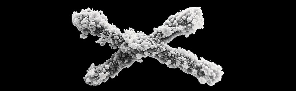 Telomeres: The Future of Health and Immortality
Telomeres, the microscopic DNA caps that protect our chromosomes, have emerged as the central players in the quest to unlock the mysteries of aging and extend life itself. While they are a fundamental component of our genetic makeup, their true potential remains largely untapped. As science advances, these tiny sequences of genetic material are revealing themselves to be not merely markers of aging, but gateways to the ultimate regeneration of the human body, unlocking the secrets to prolonged youth, vitality, and the possibility of immortality.

Understanding Telomeres and Their Role in Aging
At the core of cellular aging lies the inevitable shortening of telomeres. These protective DNA sequences are located at the ends of chromosomes, and with each cell division, the telomeres become shorter. This gradual wear and tear is an essential part of the aging process, contributing to the deterioration of cells, tissues, and organs over time. Once telomeres become too short to protect chromosomes effectively, cells lose their ability to divide, leading to senescence (cellular aging) or programmed cell death.

This loss of regenerative capacity is at the heart of many age-related diseases, including cancer, heart disease, and neurodegenerative disorders. As the body ages, the shortening of telomeres accelerates, contributing to the loss of vitality and function. Yet, the discovery that telomeres can be restored, or even lengthened, presents a revolutionary opportunity to reverse these effects and reclaim the essence of youth.

Telomere Extension: The Science of Reversing Aging
In recent years, groundbreaking scientific research has demonstrated that it is possible to reverse the aging process by restoring or even lengthening telomeres. Various approaches to telomere extension have emerged:

Telomerase Activation:
Telomerase is the enzyme responsible for maintaining the length of telomeres. By activating telomerase in adult somatic cells (which usually lack this enzyme), researchers have been able to lengthen telomeres and restore the ability of cells to divide and regenerate. This method holds enormous potential for treating age-related diseases and rejuvenating tissues that have long since lost their regenerative abilities.

Gene Editing Techniques:
Cutting-edge gene-editing technologies, such as CRISPR, are enabling scientists to manipulate the very genetic mechanisms that control telomere length. By directly editing the genes responsible for telomere maintenance, it is possible to repair or rejuvenate aging cells with unprecedented precision.

Stem Cell Therapy:
Stem cells naturally possess long telomeres, allowing them to divide and regenerate tissues throughout the body. By introducing stem cells into aging or damaged organs, it is possible to restore youthful function and repair degenerative damage. Stem cell-based therapies, combined with telomere extension, could offer transformative treatments for a variety of age-related ailments.

Pharmacological Solutions:
Several pharmaceutical compounds are being studied for their ability to mimic the effects of telomerase and promote telomere extension. These compounds could provide a non-invasive, long-term solution to aging by slowing or halting the shortening of telomeres, offering a new frontier in anti-aging medicine.

Rejuvenation and Regeneration: A World of Possibilities
The ability to restore telomeres promises not just extended life, but a complete rejuvenation of the body. Here’s how telomere therapies could transform the future of human health:

Youthful Appearance and Vitality:
Telomere restoration could erase the physical signs of aging—wrinkles, age spots, and sagging skin—allowing individuals to retain a youthful appearance well into their later years. Additionally, rejuvenated cells would restore hair growth, vitality, and overall skin health.

Muscle and Bone Regeneration:
Muscles and bones naturally deteriorate with age, leading to frailty and decreased mobility. By extending telomeres, muscle and bone cells could regenerate, maintaining strength, flexibility, and resilience well beyond what is currently possible.

Organ and Tissue Repair:
Vital organs, such as the heart, liver, and kidneys, can become increasingly damaged with age. Telomere extension could restore the regenerative capacity of these organs, reversing or preventing degenerative diseases like heart failure, cirrhosis, and kidney disease.

Neurological Health and Cognitive Function:
The brain is one of the first organs to show signs of aging. Shortened telomeres in brain cells are linked to cognitive decline, memory loss, and neurodegenerative conditions like Alzheimer’s. Extending telomeres in the brain could preserve mental clarity, protect against neurodegeneration, and maintain cognitive function well into advanced age.

Enhanced Immune System Function:
The immune system weakens with age, leaving the body vulnerable to infections, cancer, and chronic diseases. Telomere extension could rejuvenate immune cells, enhancing the body’s ability to fight off diseases and maintain overall health.

Ethical and Social Implications of Telomere Technology
As promising as telomere science is, it raises a host of ethical and societal questions. The prospect of dramatically extending human life could reshape society in profound ways:

Overpopulation and Resource Distribution:
With longer lifespans, the global population may continue to grow, placing increased strain on resources, healthcare systems, and the environment. Balancing population growth with sustainability will be a critical challenge.

Access to Longevity Technologies:
As with any emerging technology, there may be disparities in access to telomere therapies. The question of who will benefit from these advancements—and who will be left behind—will require thoughtful consideration and equitable distribution of resources.

The Social Impact of Immortality:
If human lifespan extends indefinitely, it could lead to shifts in family structures, career trajectories, and even societal values. The implications of living for hundreds of years—without the risks of aging—would require a reimagining of how we live, work, and interact with one another.

A New Era of Human Health and Immortality
Telomeres are no longer just a biological curiosity—they represent the gateway to a new age of health and vitality. As we continue to unlock the secrets of these genetic timekeepers, the dream of extended youth, robust health, and even immortality becomes a real possibility.

With every breakthrough in telomere research, humanity inches closer to a future where age is no longer a limiting factor, and the possibility of living well, for as long as we choose, becomes a tangible reality. In this future, health, regeneration, and youthful vitality are not just for the fortunate few—they are for all who dare to embrace the promise of endless life.